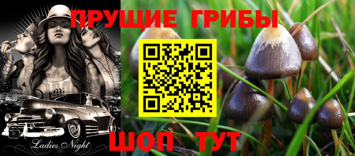 Галлюциногенные грибы Psilocybine cubensis Сызрань